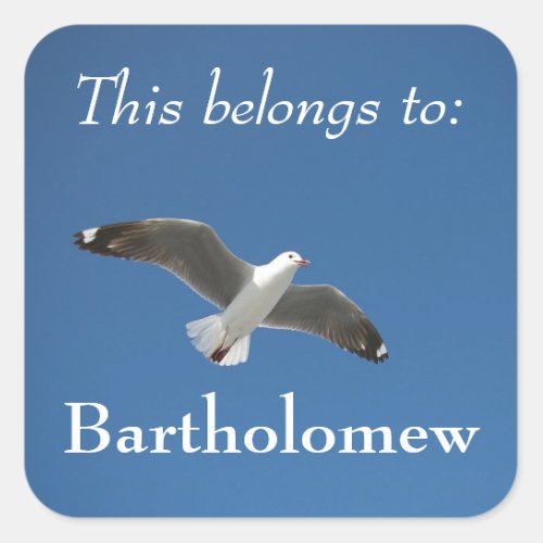 This Belongs To Blue Sky Seagull Photo Square Sticker