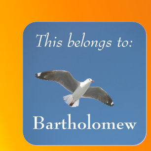 This Belongs To Blue Sky Seagull Photo Square Sticker