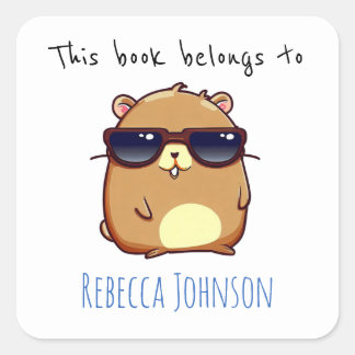 This book belongs to square sticker