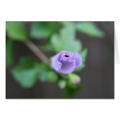 This Bud's For You. (Front Horizontal)