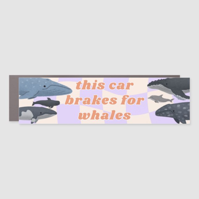 This Car Brakes for Whales Car Magnet (Front)