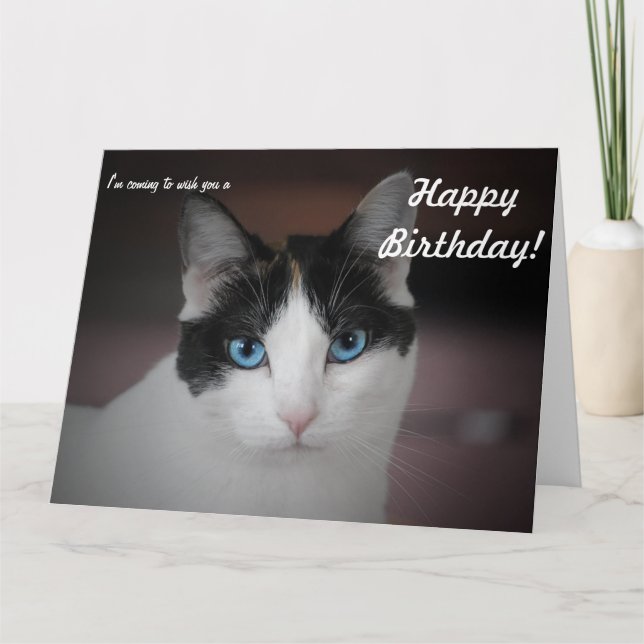This Cat whishes a Happy Birthday! Big Card (Front)