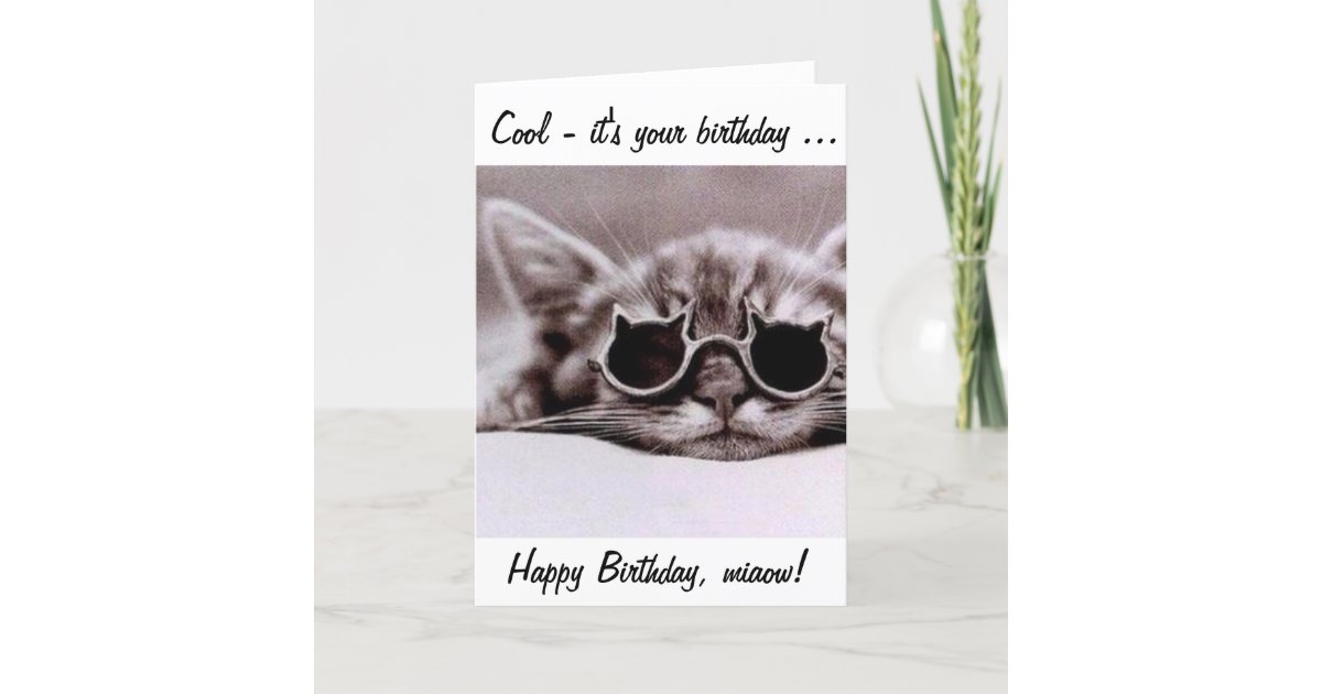 This cool Cat wishes you a Happy Birthday! Card | Zazzle