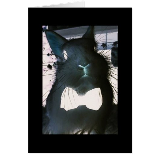 THIS CRAZY BUNNY MEANS "BUSINESS" **HAPPY EASTER** CARDS (Front)
