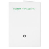 This does not look like Kansas, Toto.. (Back)