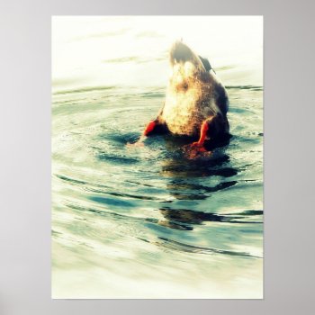 This End Up! Duck Butt Poster by CountryCorner at Zazzle