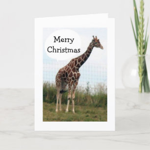 THIS GIRAFFE IS READY-HE SAYS MERRY CHRISTMAS HOLIDAY CARD