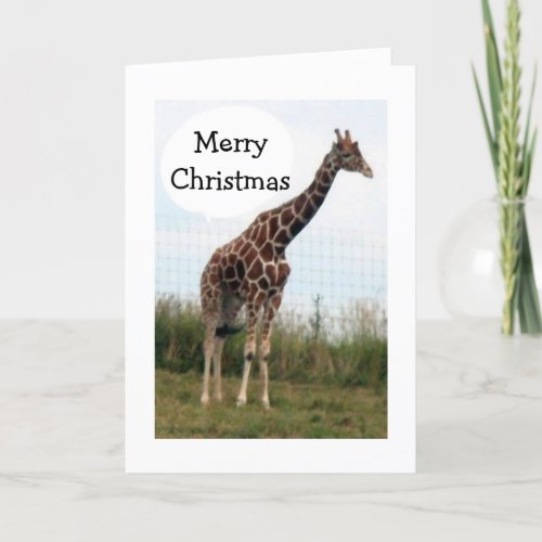 THIS GIRAFFE IS READY_HE SAYS MERRY CHRISTMAS HOLIDAY CARD