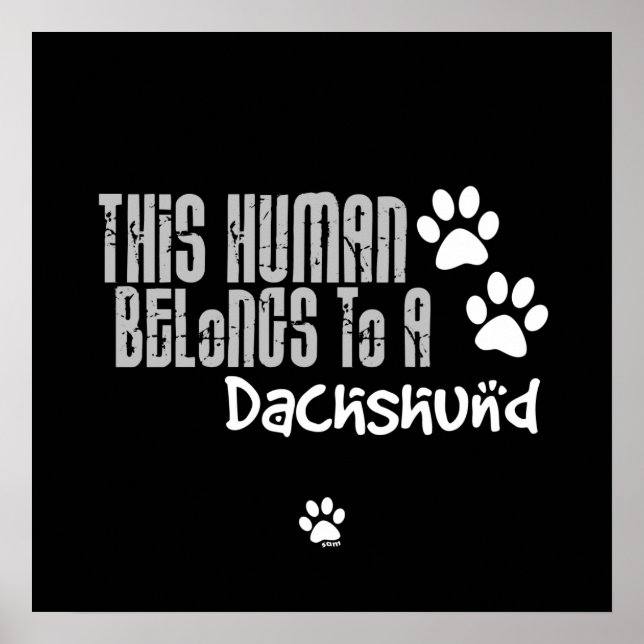 This Human Belongs to a Dachshund Poster (Front)