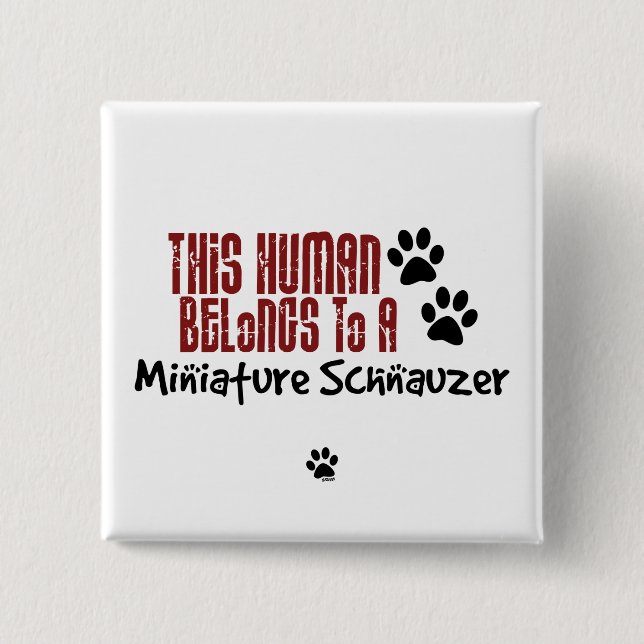 This Human Belongs to a Miniature Schnauzer Pinback Button (Front)