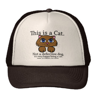This is a Cat Hats