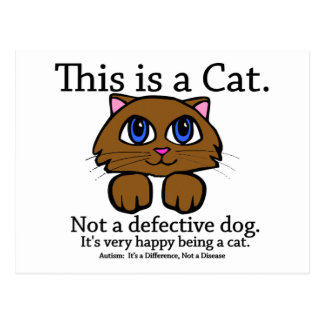 This is a Cat Postcard