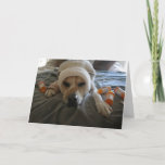 This Is A Get Well Greeting Card For Private. at Zazzle