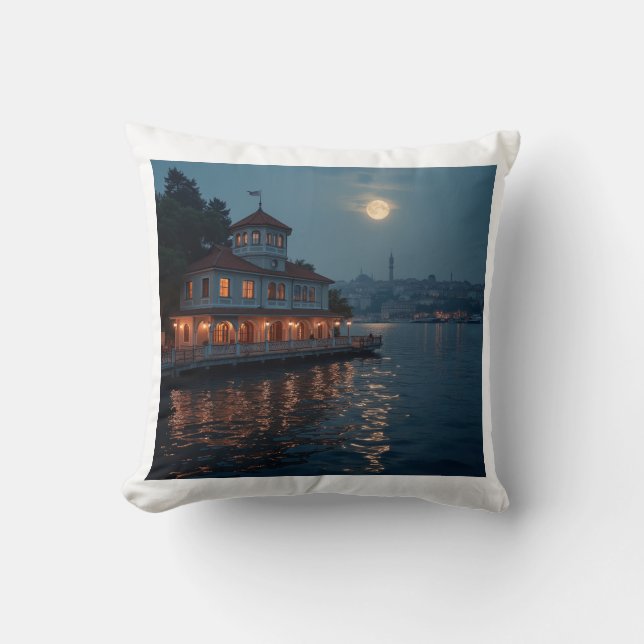 This is a pillow cushion for night sight.  (Front)