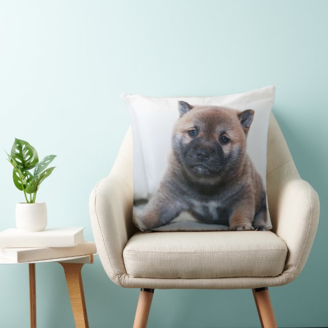 This is a precious Akita puppy, Pillow (Chair)