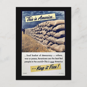 This Is America Keep It Free! Postcard