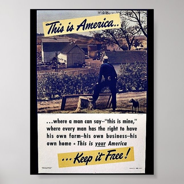 This Is America Keep It Free! Poster (Front)