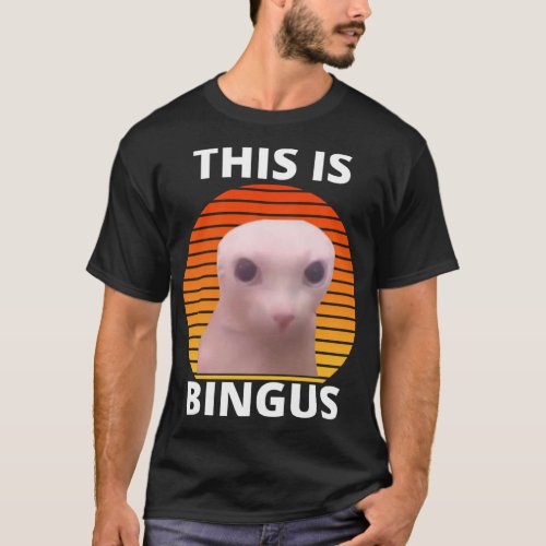 This Is Bingus Meme     T_Shirt