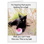 This Is My Ball Cards (Front)