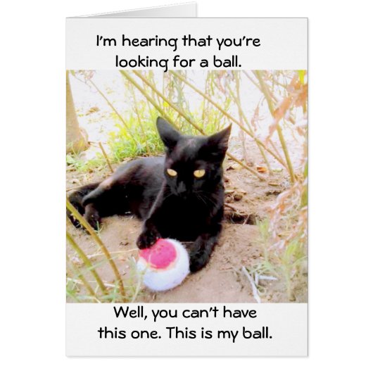 This Is My Ball Cards (Front)