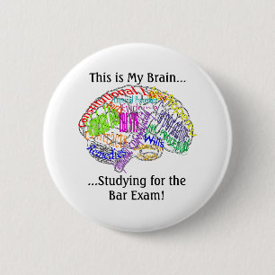 This is my brain...Bar Exam Pinback Button