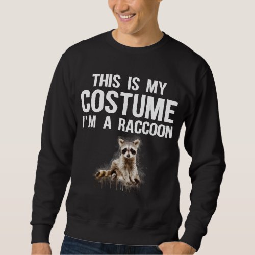 This Is My Costume Im A Raccoon Cute Halloween Sweatshirt