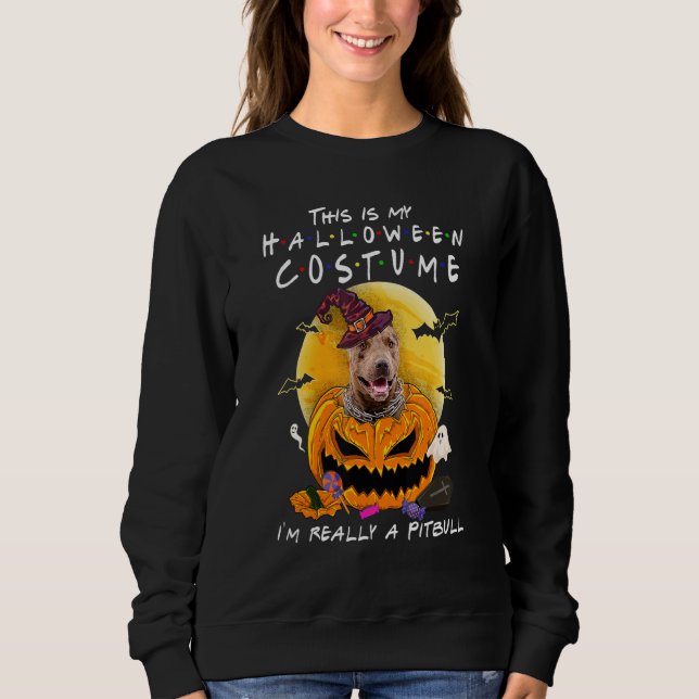 This Is My Halloween Costume I'm Really A Pitbull  Sweatshirt (Front)