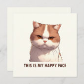 This is my Happy Face Moody Cat (Front/Back)