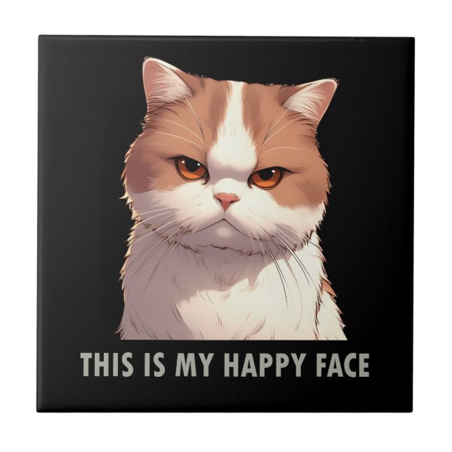 This is my Happy Face Moody Cat Ceramic Tile (Front)