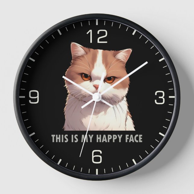 This is my Happy Face Moody Cat Clock (Front)