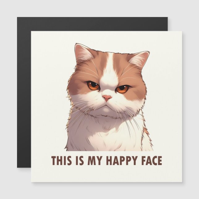 This is my Happy Face Moody Cat Magnet (Front/Back)