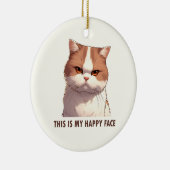 This is my Happy Face Moody Cat Magnet Ceramic Ornament (Right)