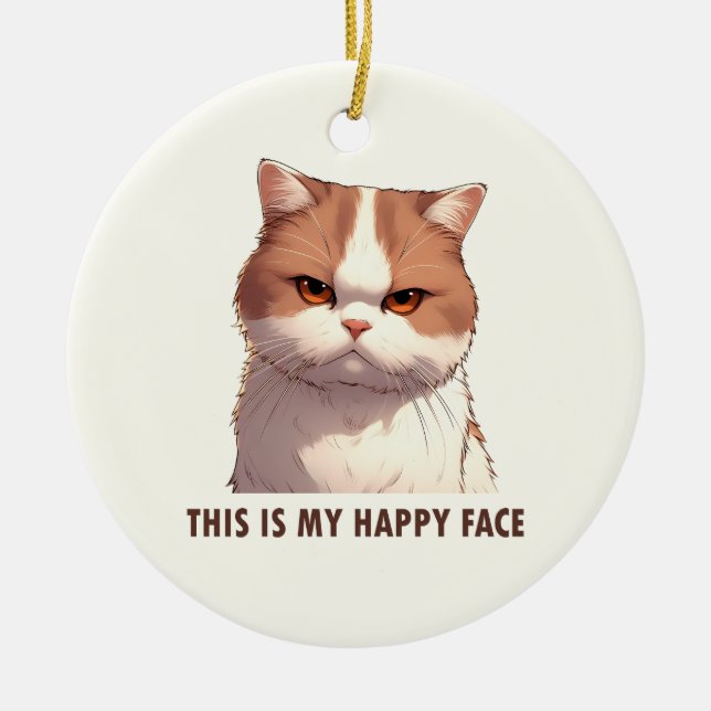 This is my Happy Face Moody Cat Magnet Ceramic Ornament (Front)