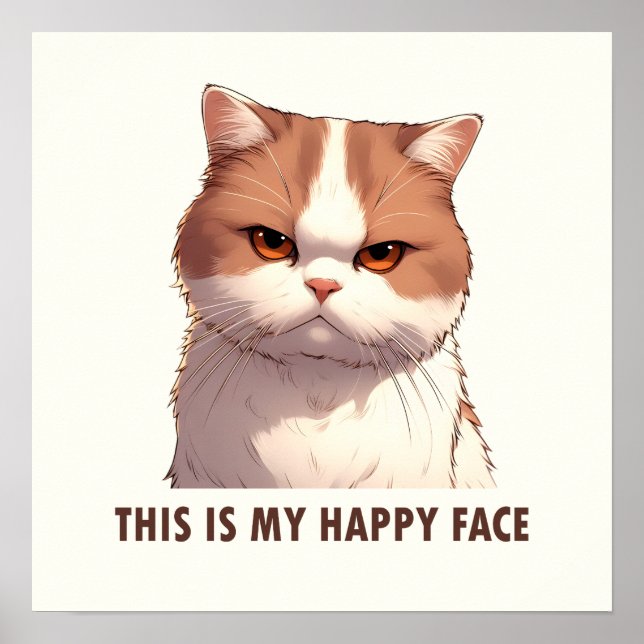 This is my Happy Face Moody Cat Poster (Front)