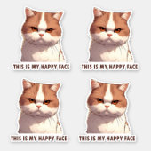This is my Happy Face Moody Cat Sticker (Front)
