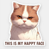 This is my Happy Face Moody Cat Sticker (Front)