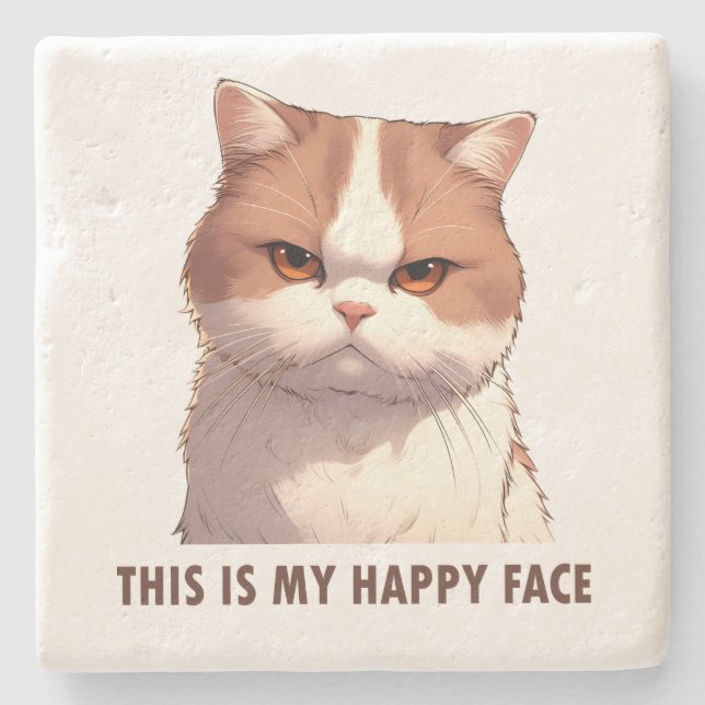 This is my Happy Face Moody Cat Stone Coaster (Front)