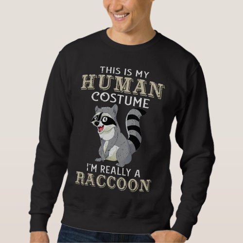This is my human costume im really a raccoon 98 h sweatshirt