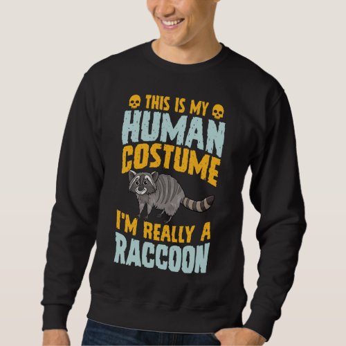This Is My Human Costume Im Really A Raccoon Hall Sweatshirt
