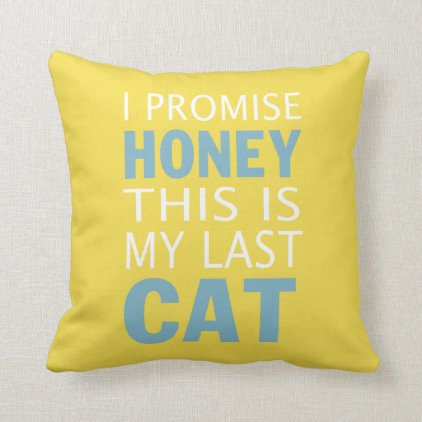 This is my last cat throw pillow