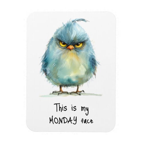 This is My Monday Face Grumpy Bird Fridge  Magnet