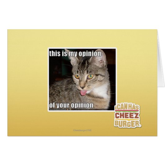 this is my opinion cards (Front Horizontal)