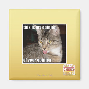 this is my opinion magnet