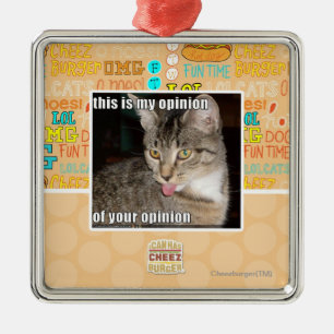 this is my opinion metal ornament