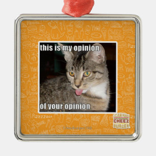 this is my opinion metal ornament