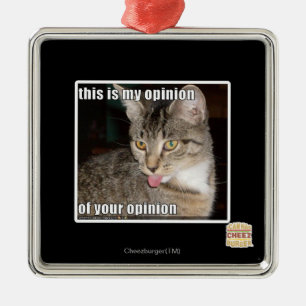 this is my opinion metal ornament