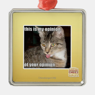 this is my opinion metal ornament