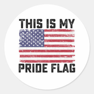 This Is My Pride Flag USA Classic Round Sticker