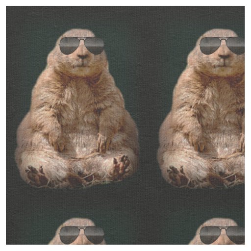 This is my smile fabric