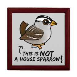 Not a House Sparrow! Large 7.125
